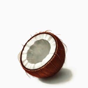 kokosnøtt